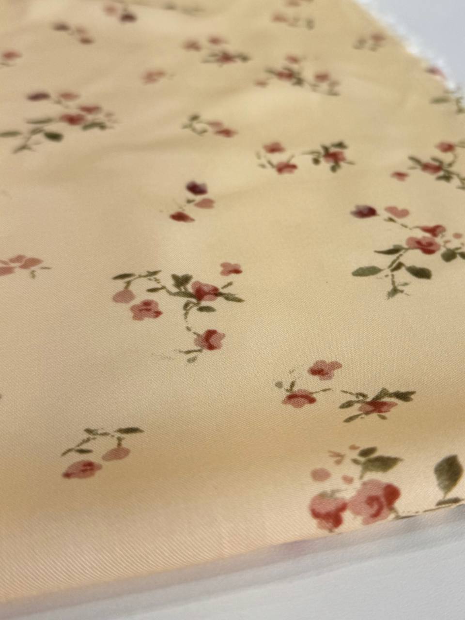 Цветочки photo_2026-02-23_14-25-17