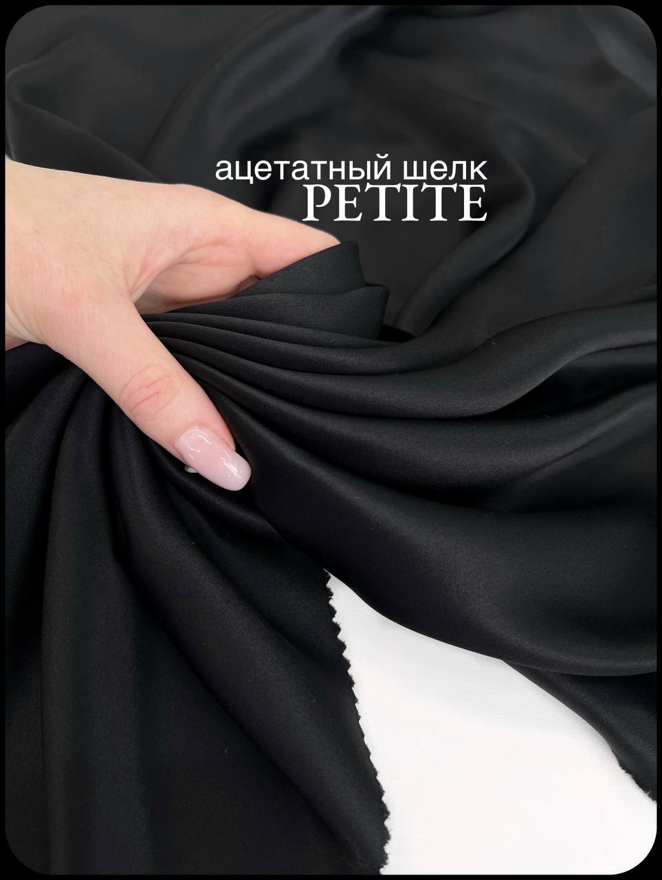 PETITE photo_2026-02-23_16-35-50