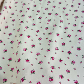 пурпурные бутоны photo_2026-02-23_16-52-11