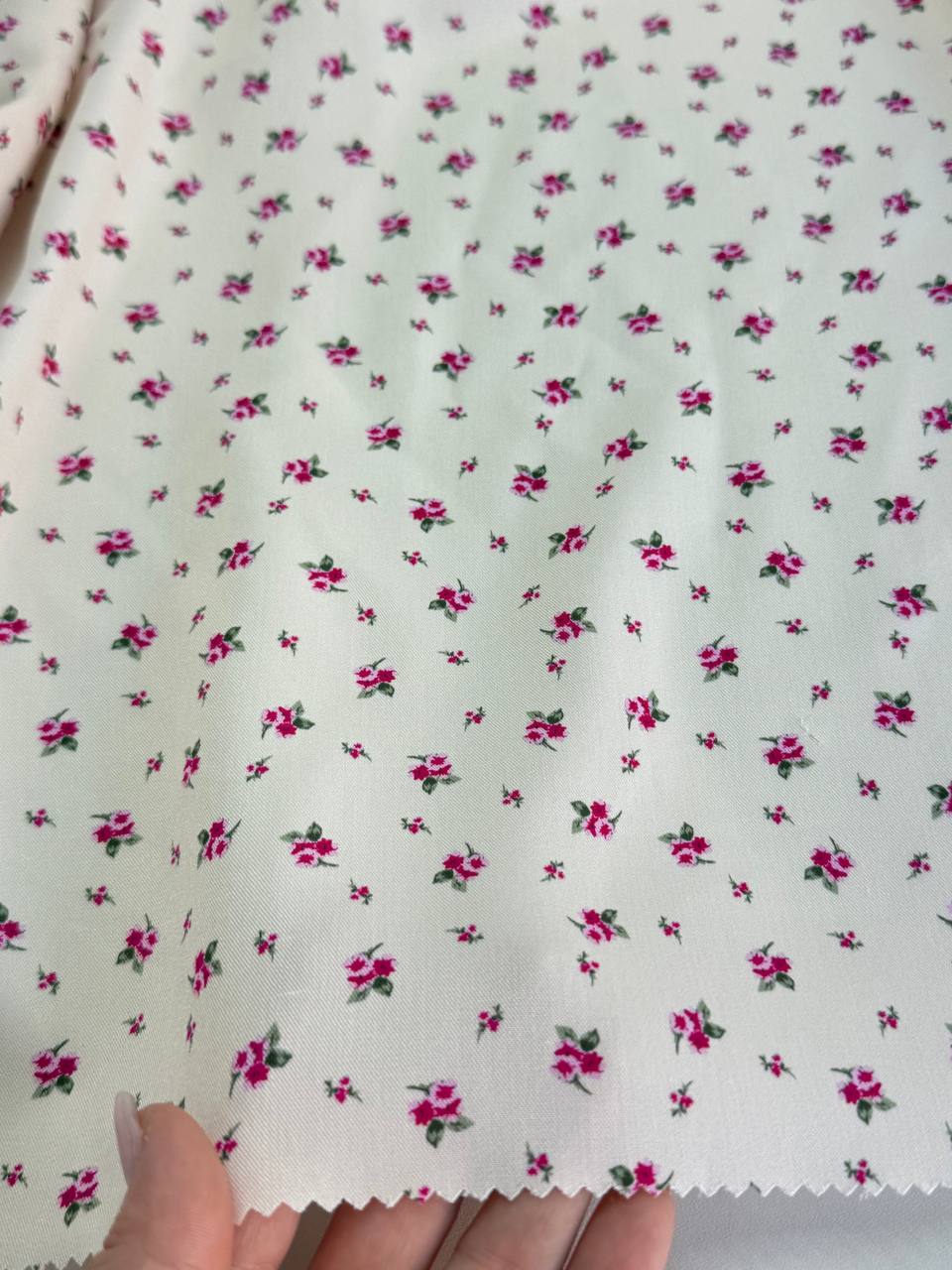 пурпурные бутоны photo_2026-02-23_16-52-11