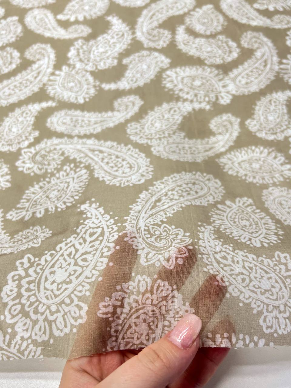 кремовые на бежевом photo_2026-02-25_18-02-29