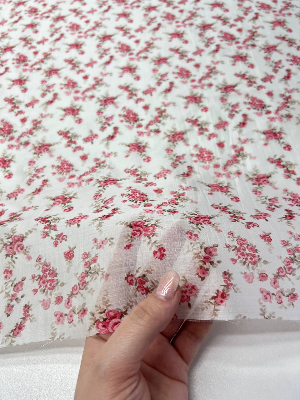 на кремовом photo_2026-02-26_13-20-03