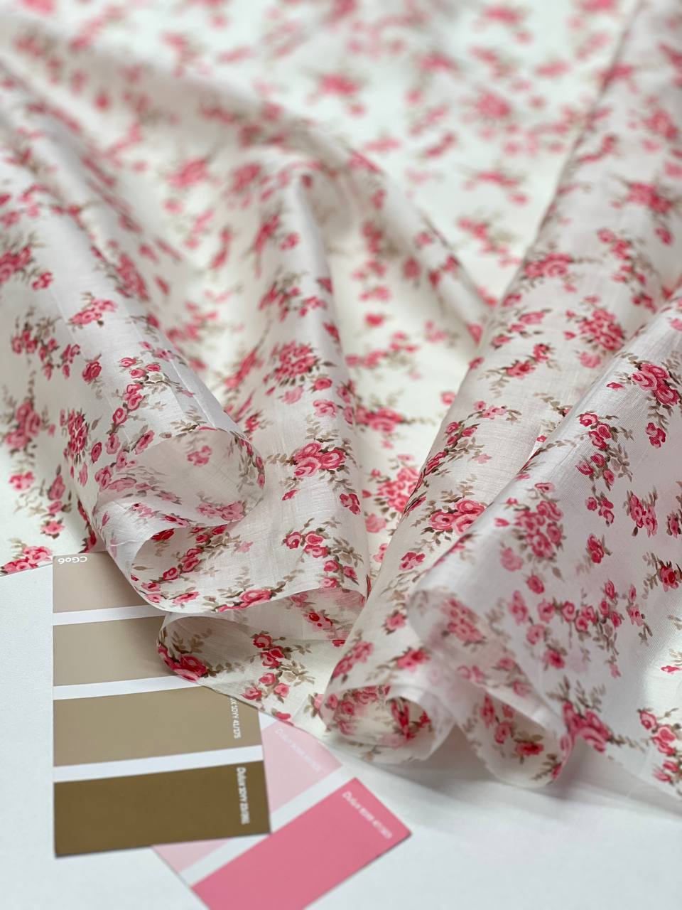 на кремовом photo_2026-02-26_13-20-06