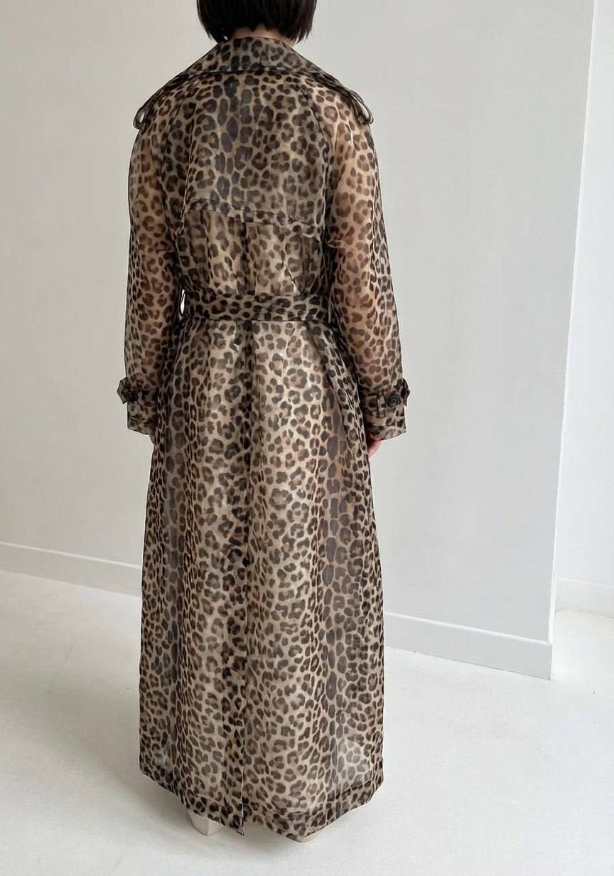 Леопард photo_2026-02-26_13-36-33 (2)