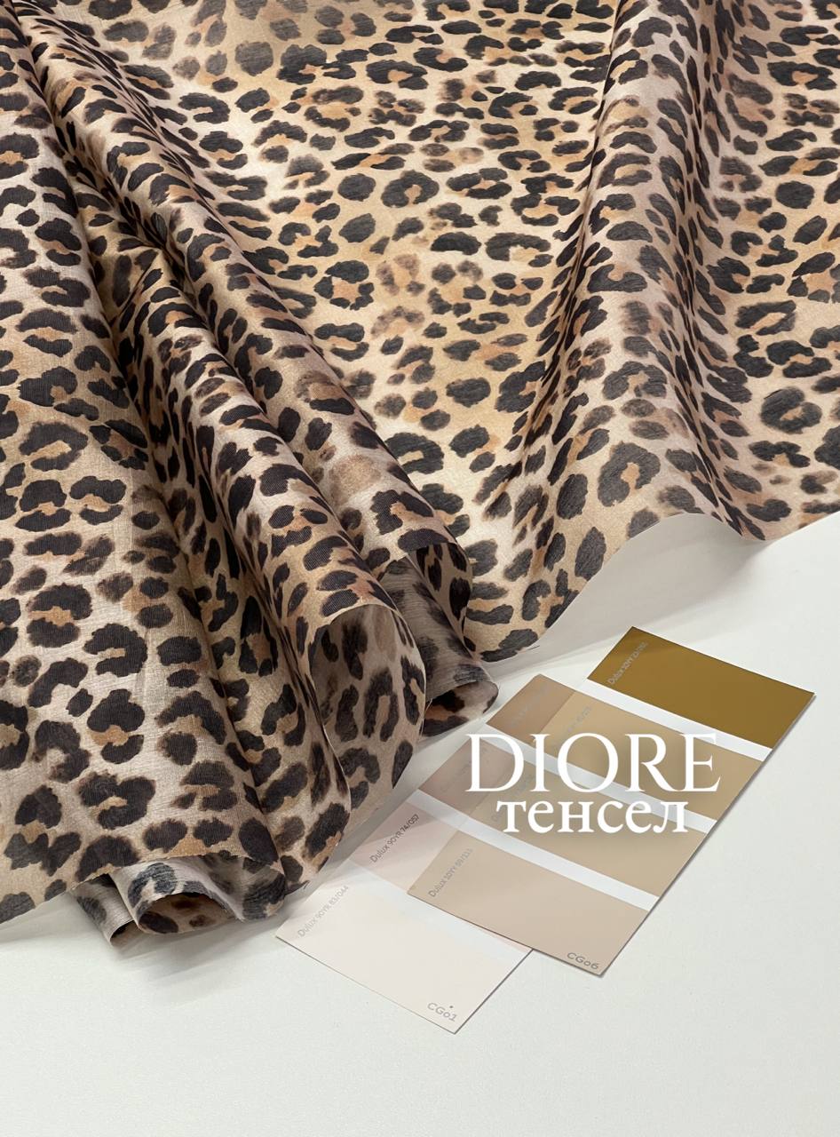 Леопард photo_2026-02-26_13-36-33