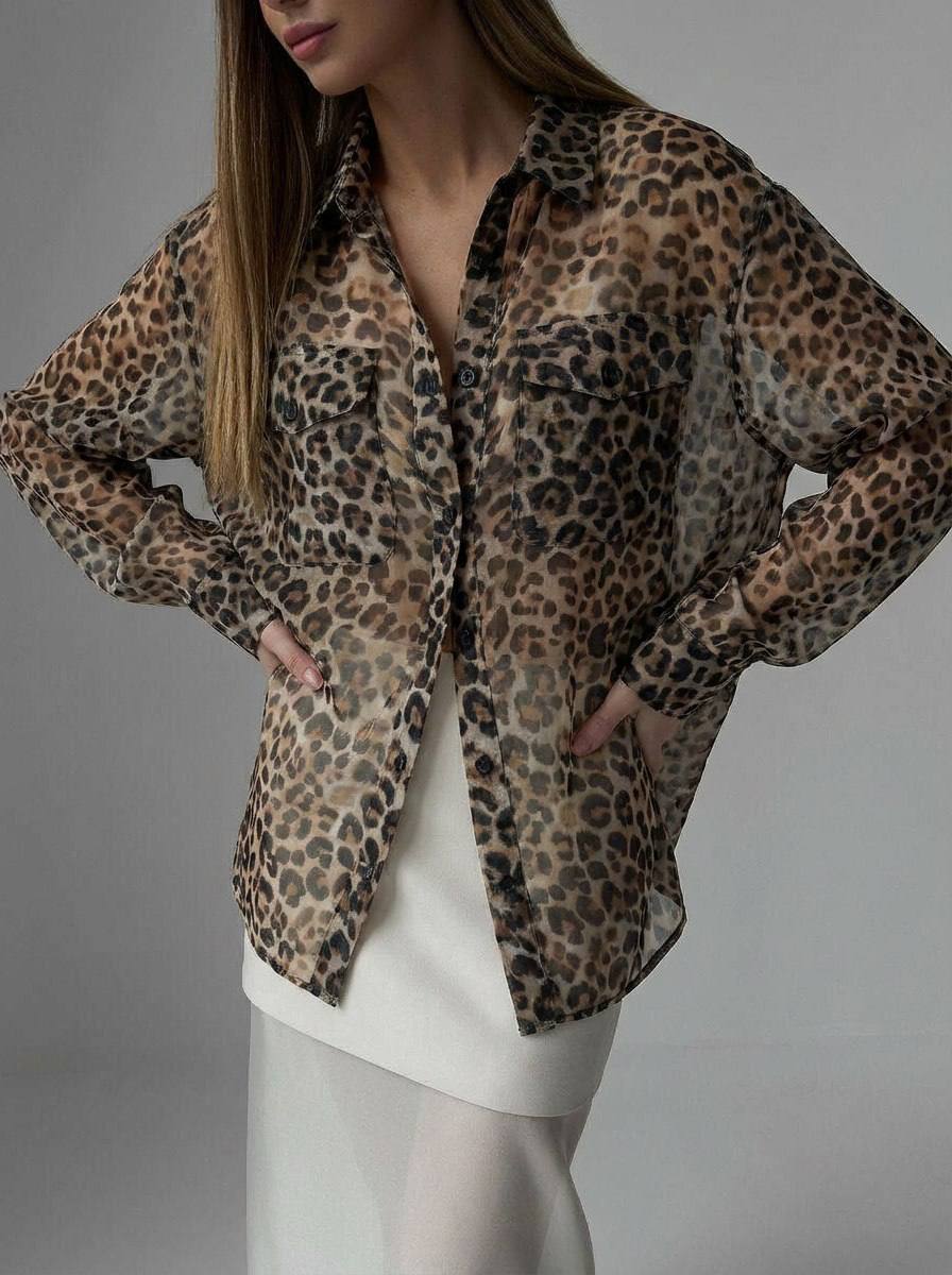 Леопард photo_2026-02-26_13-36-34