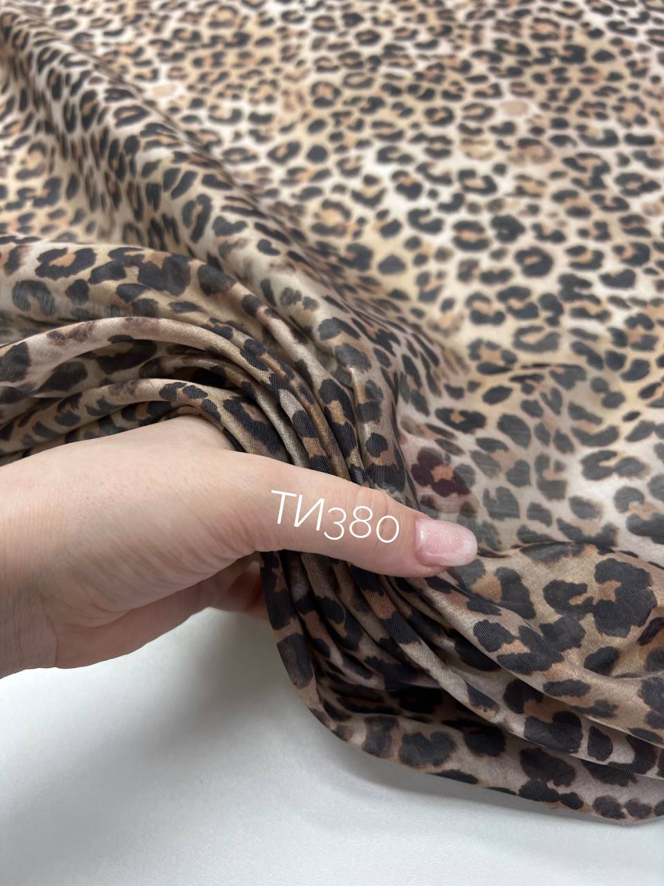 Леопард photo_2026-02-26_13-36-35