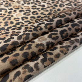 Леопард photo_2026-02-26_13-36-36