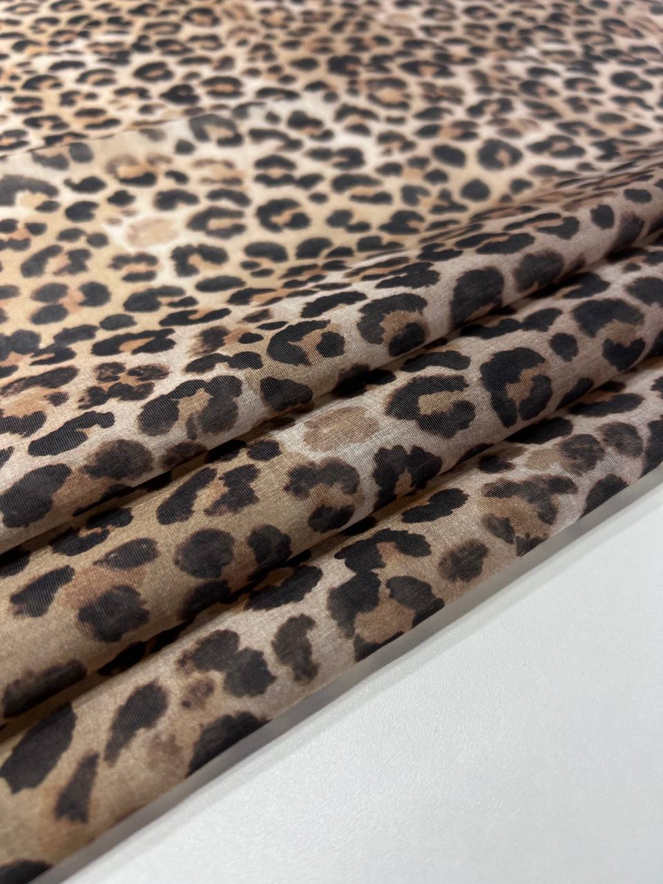 Леопард photo_2026-02-26_13-36-36