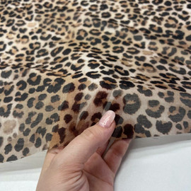 Леопард photo_2026-02-26_13-36-37