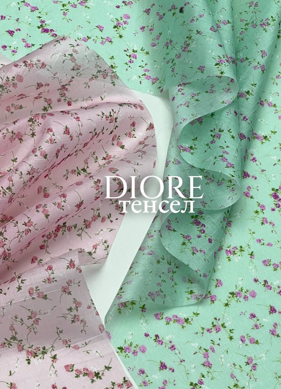 Вьюнок photo_2026-02-26_17-40-17