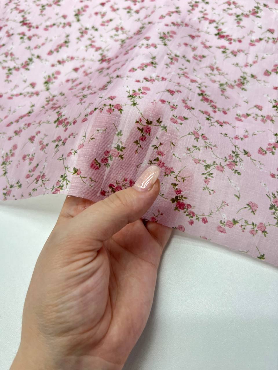 Вьюнок photo_2026-02-26_17-40-19