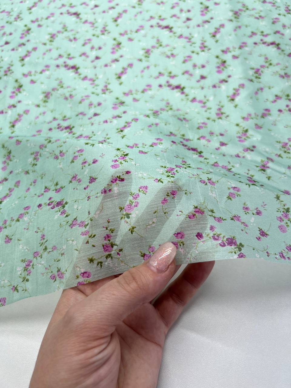 Вьюнок photo_2026-02-26_17-40-23