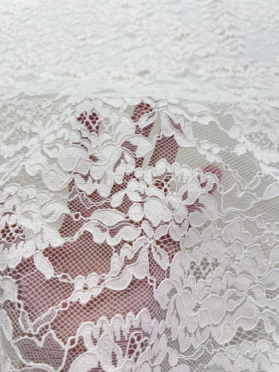 айвори photo_2026-03-02_13-20-36