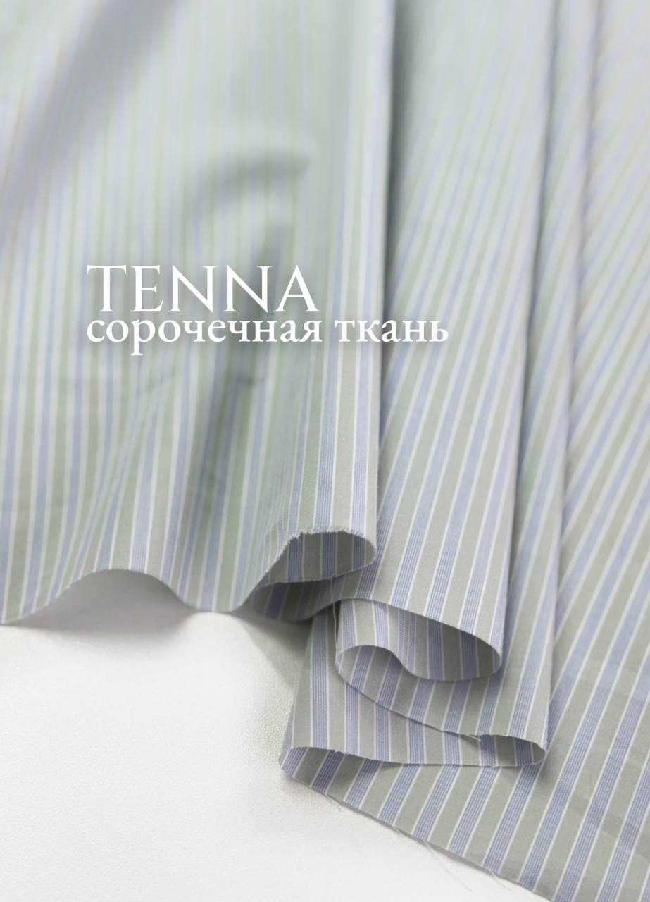 TENNA photo_2026-03-02_12-22-02