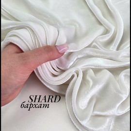 SHARD photo_2026-02-27_16-19-08