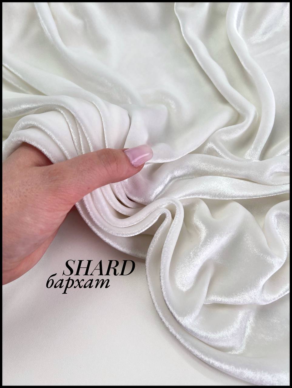 SHARD photo_2026-02-27_16-19-08