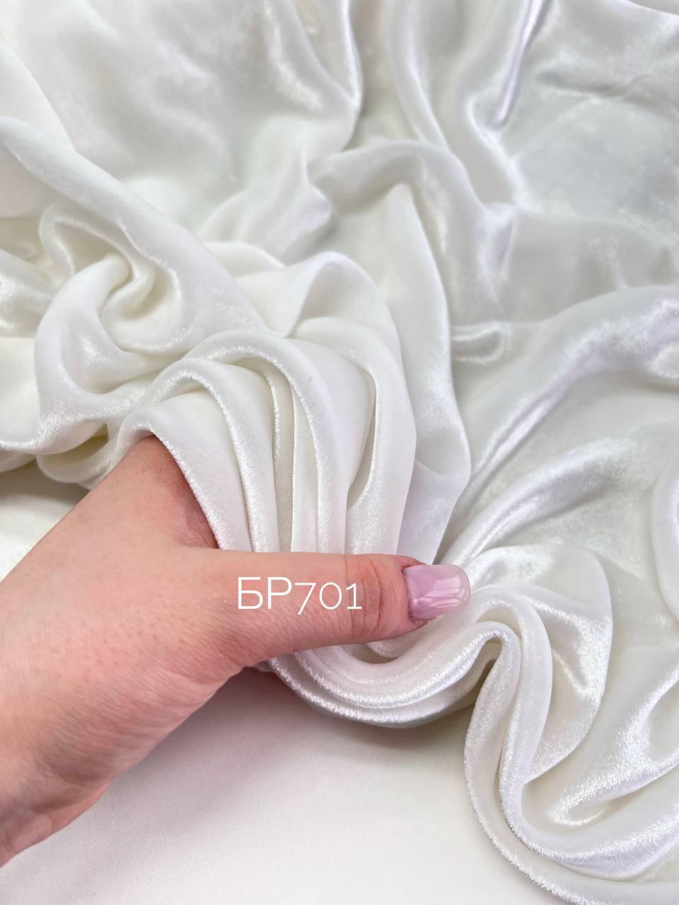 SHARD photo_2026-02-27_16-19-09