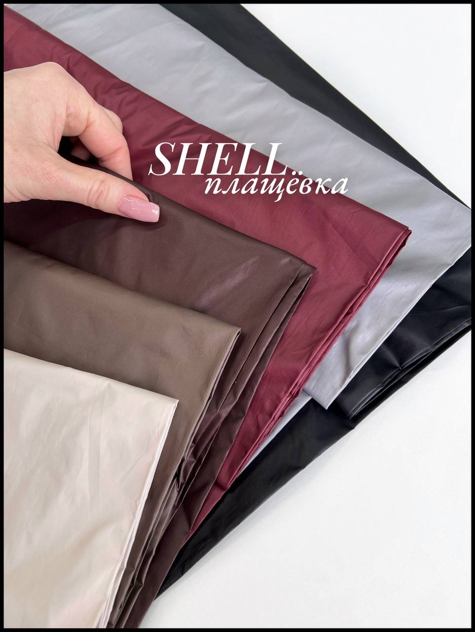 SHELL photo_2026-03-03_13-42-11