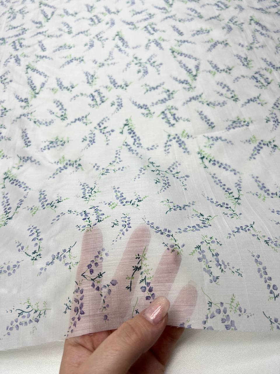 Голубые колокольчики photo_2026-03-04_11-06-44