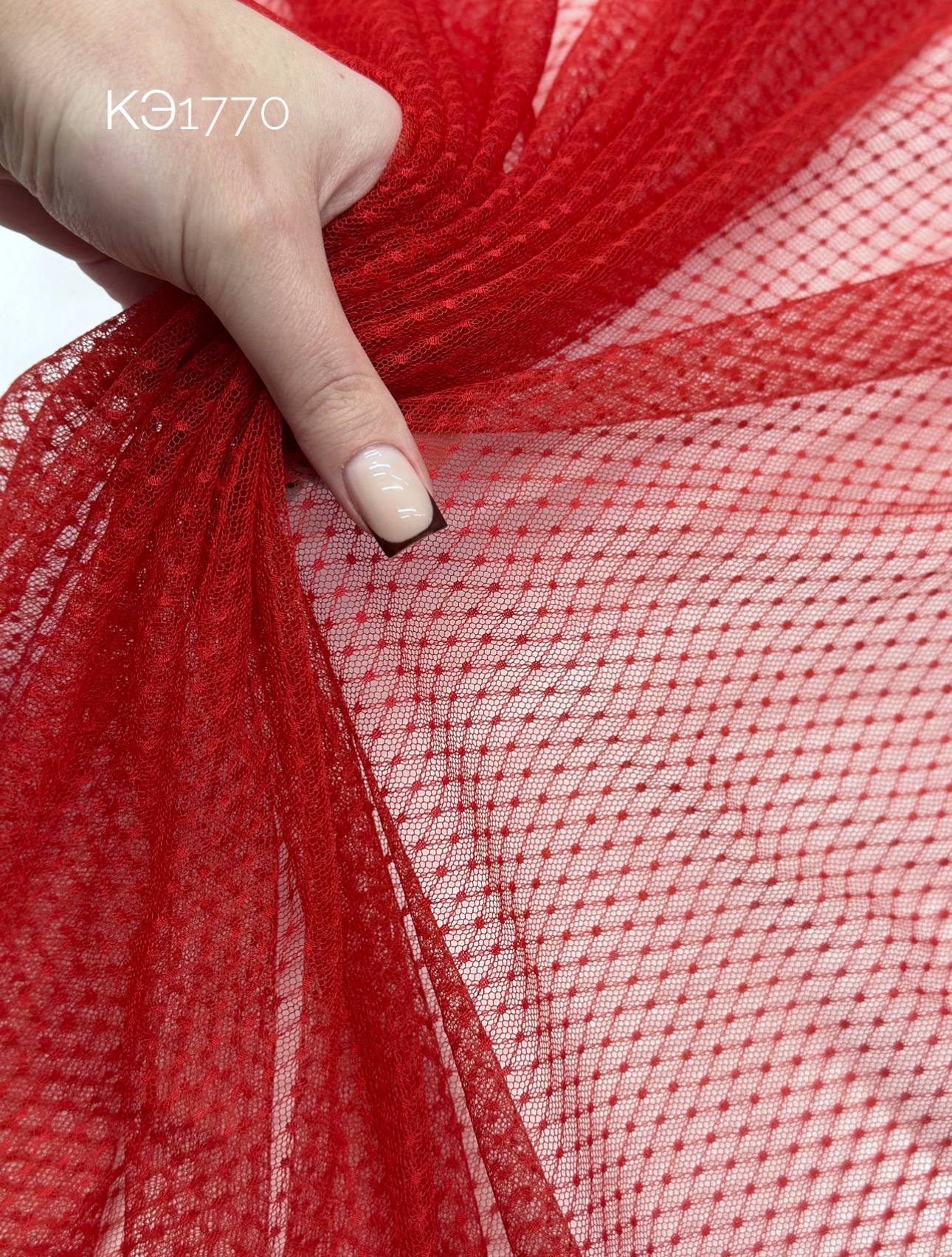 ZM photo_2026-03-09_16-40-18