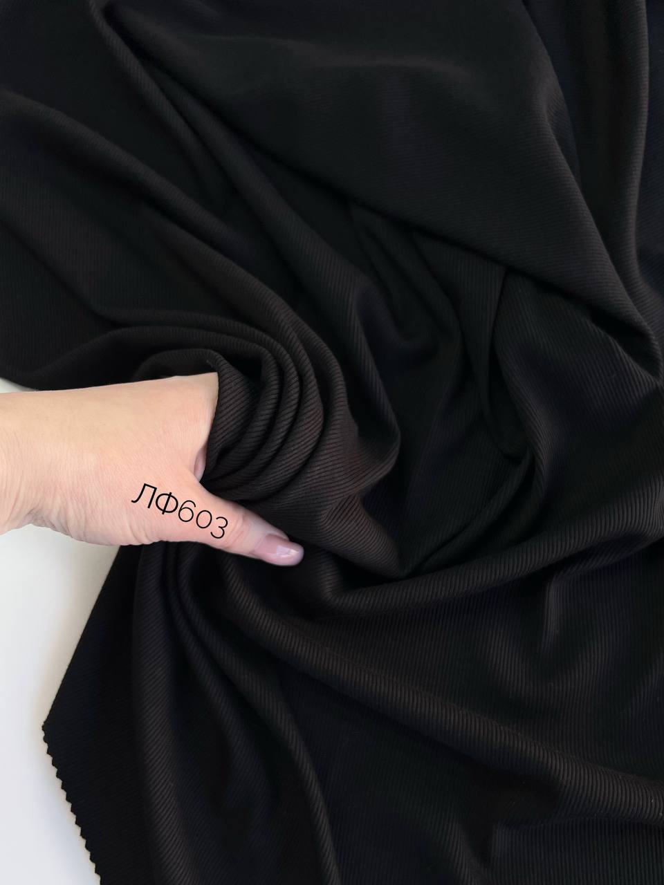 MODAL photo_2026-03-11_10-39-22