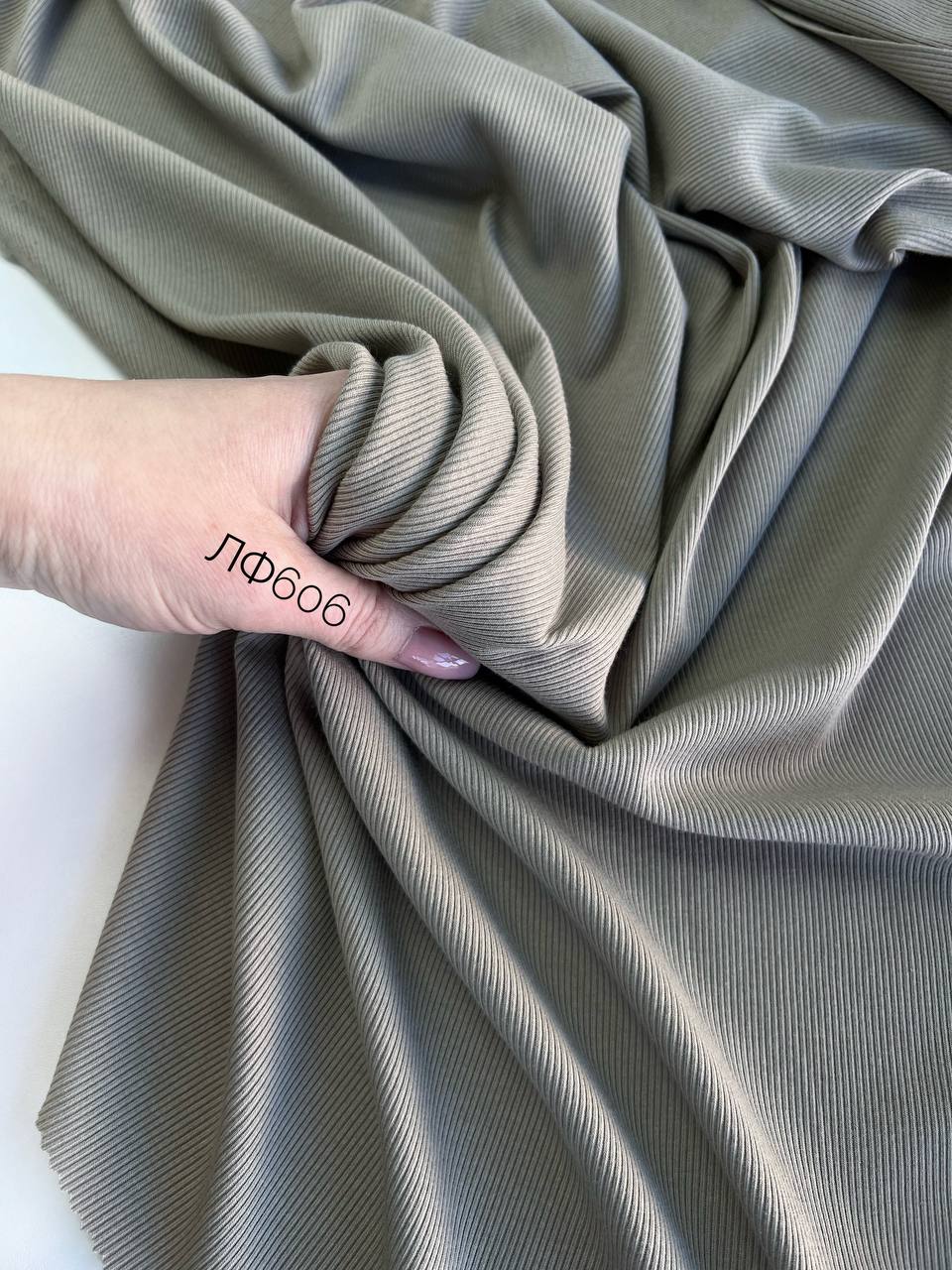 MODAL photo_2026-03-11_10-39-23 (2)