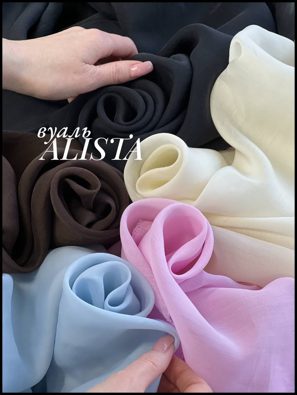 ALISTA photo_2026-03-12_11-21-02