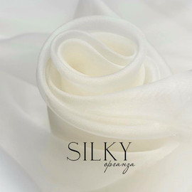 SILKY photo_2026-03-13_16-49-04