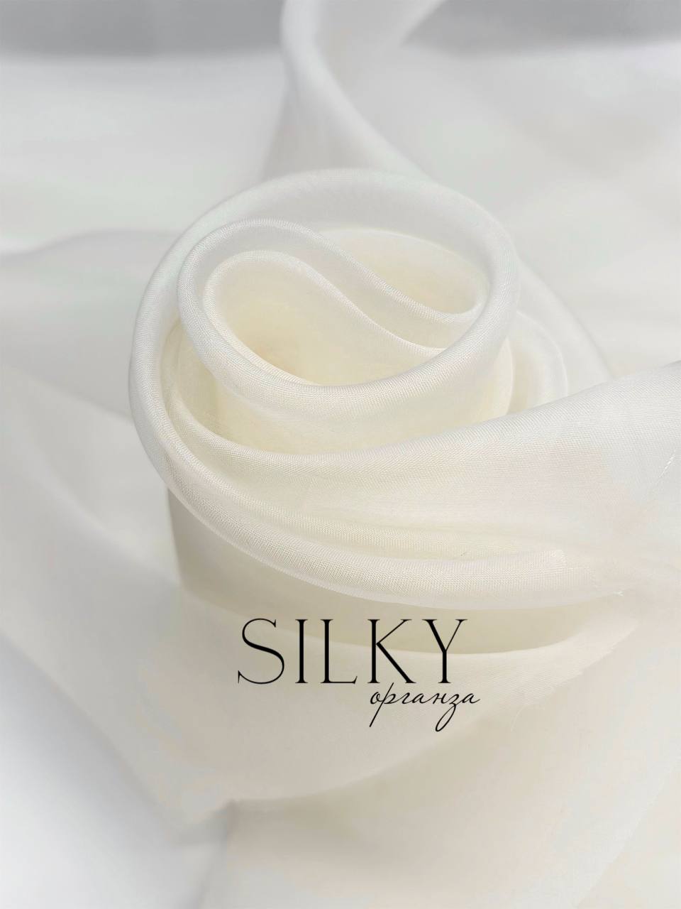 SILKY photo_2026-03-13_16-49-04