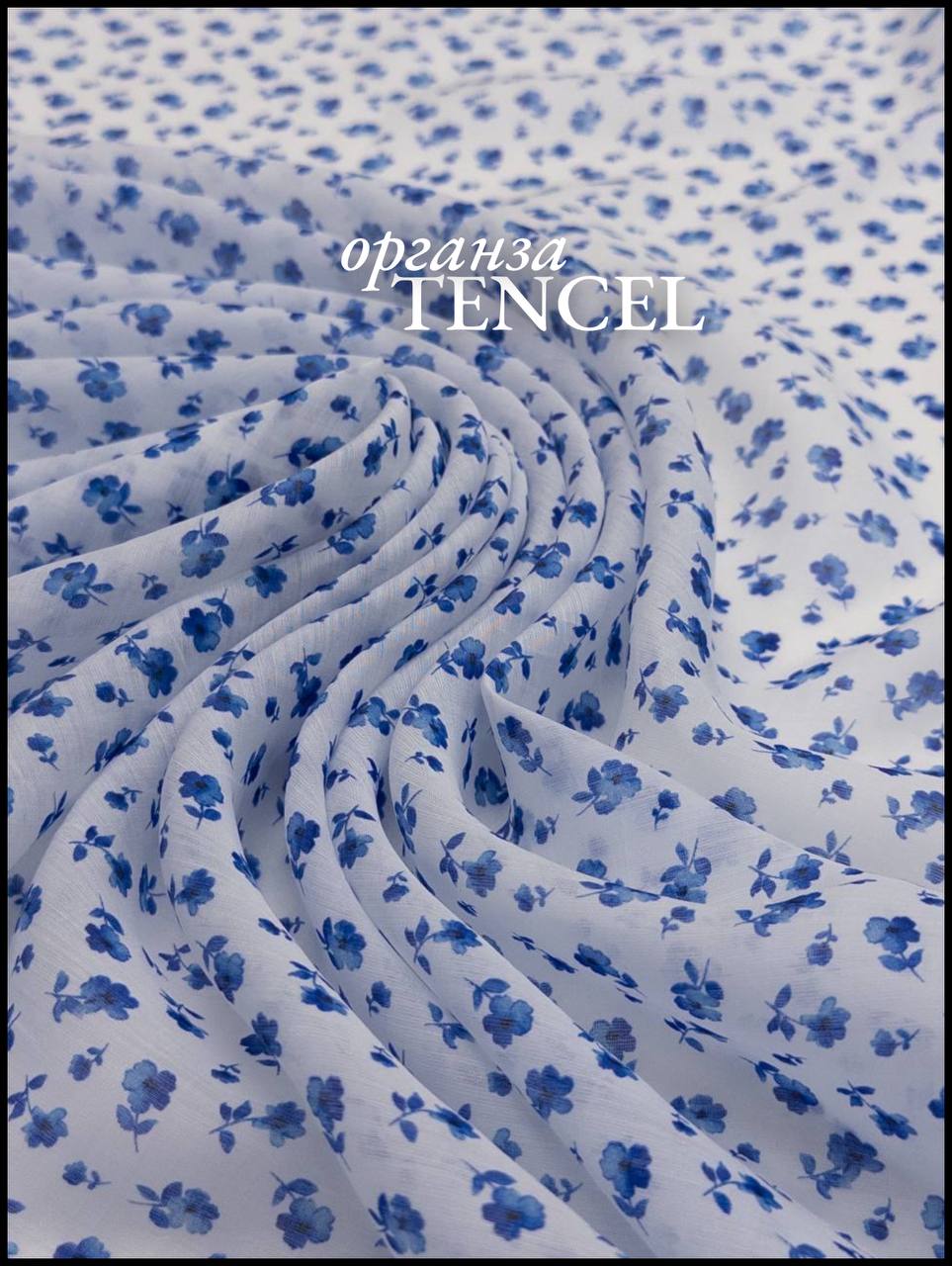 синие бутоны photo_2026-03-17_12-28-30