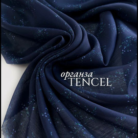 синие веточки photo_2026-03-18_13-41-39