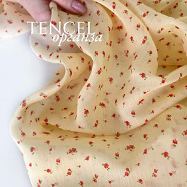 красные бутоны photo_2026-03-18_15-24-29