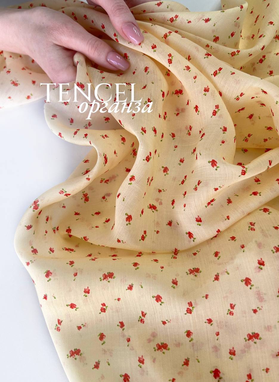 красные бутоны photo_2026-03-18_15-24-29