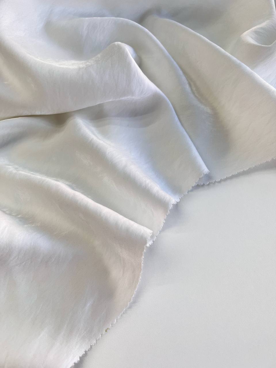 айвори photo_2026-03-19_16-38-22