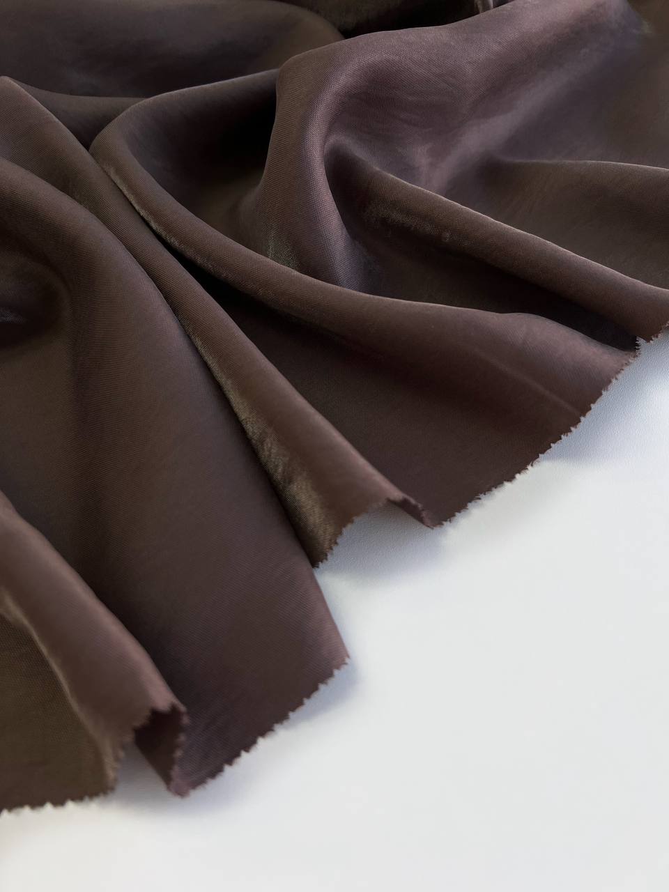 айвори photo_2026-03-19_16-38-25