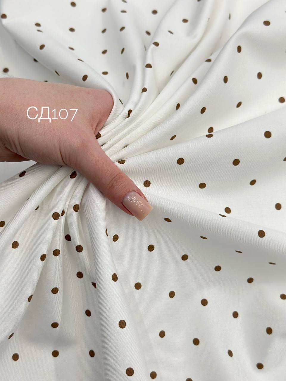 шоколадный на айвори photo_2026-03-23_10-54-39