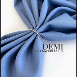 DEMI photo_2026-03-24_16-27-03