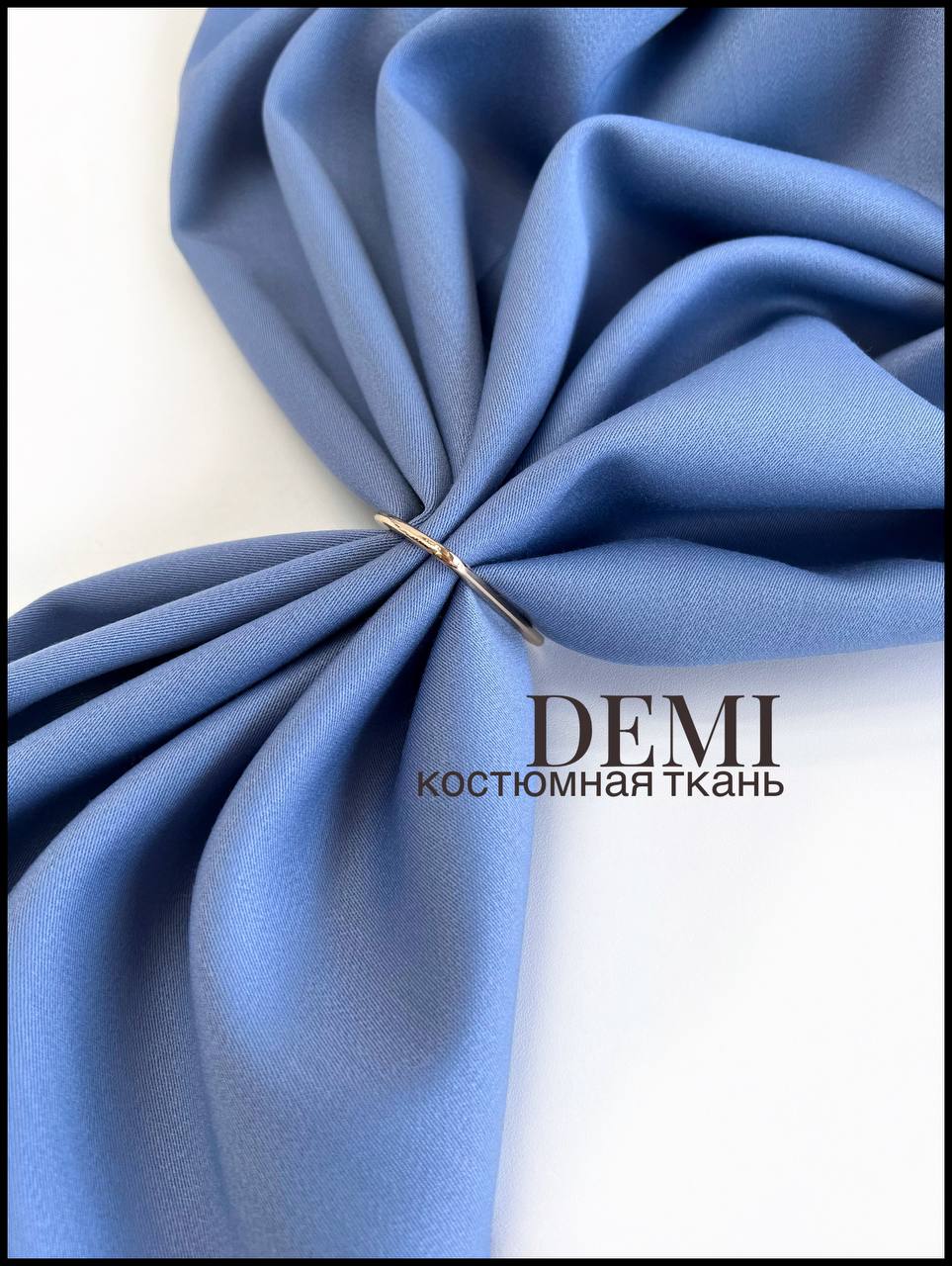 DEMI photo_2026-03-24_16-27-03