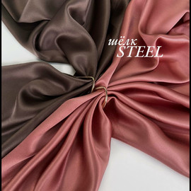 STEEL photo_2026-04-06_13-44-20