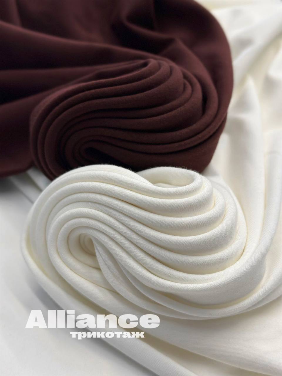 ALLIANCE photo_2026-04-08_12-37-31