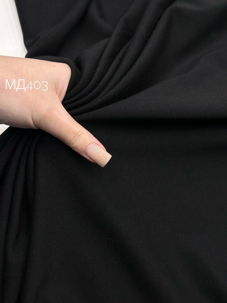 ALLIANCE photo_2026-04-08_12-37-32