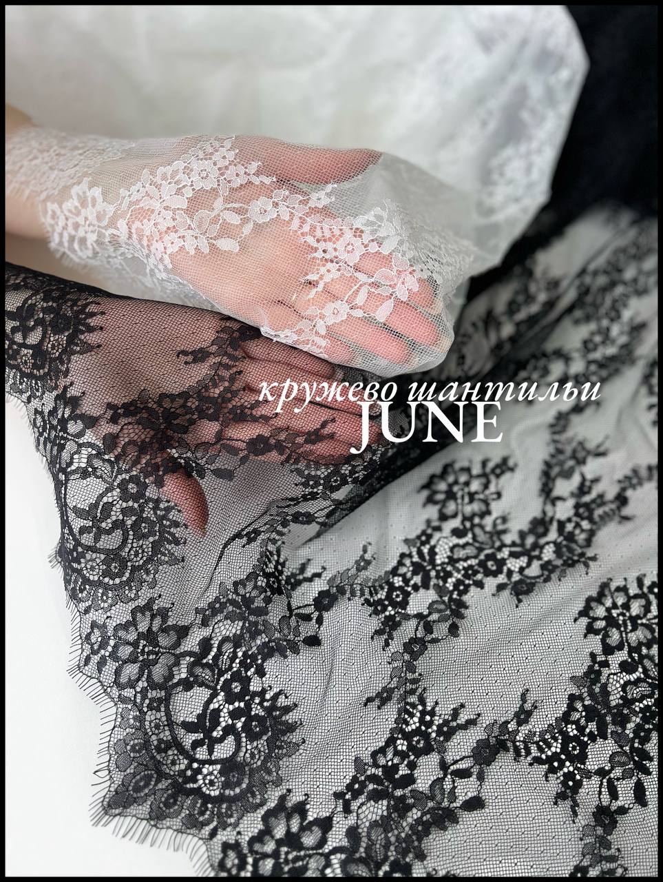 Ракушка/Цветы/Мушки photo_2026-04-10_16-30-14