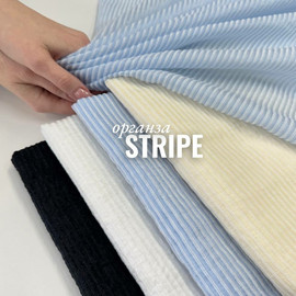 STRIPE photo_2026-04-14_16-38-17