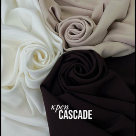 CASCADE photo_2026-04-14_16-55-12