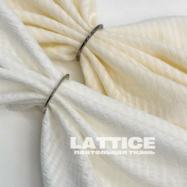 LATTICE photo_2026-04-17_12-50-28