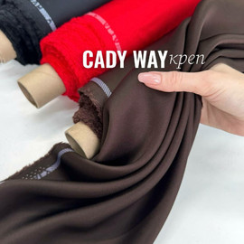 CADY WAY photo_2026-04-17_12-52-00