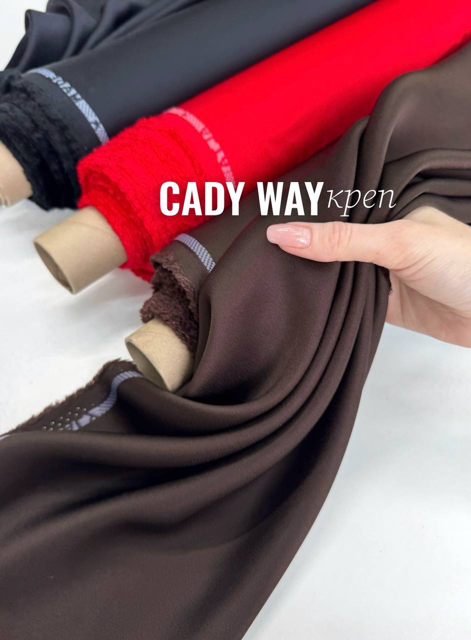 CADY WAY photo_2026-04-17_12-52-00