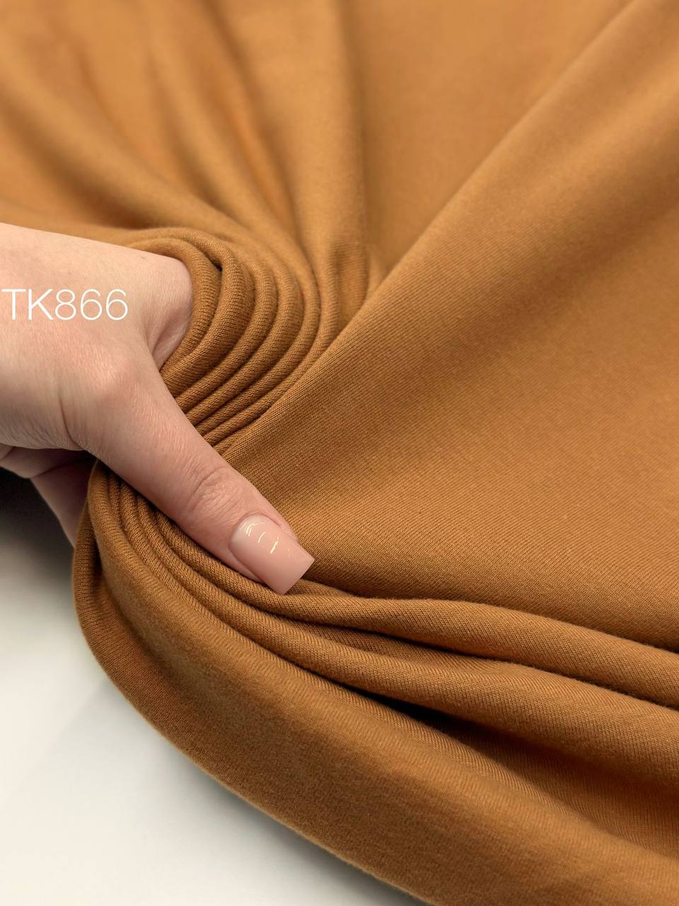 SHAM photo_2026-04-23_15-23-43