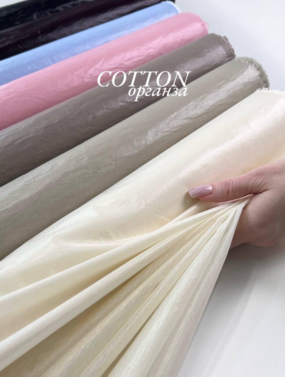 розовый photo_2026-04-23_18-04-02